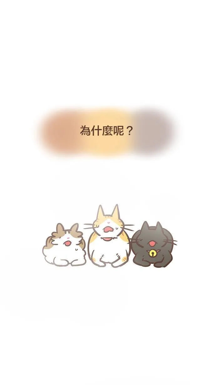 #77 背水一战、奋力一击！ 第1页