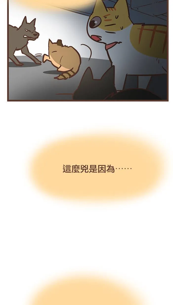#77 背水一战、奋力一击！ 第3页