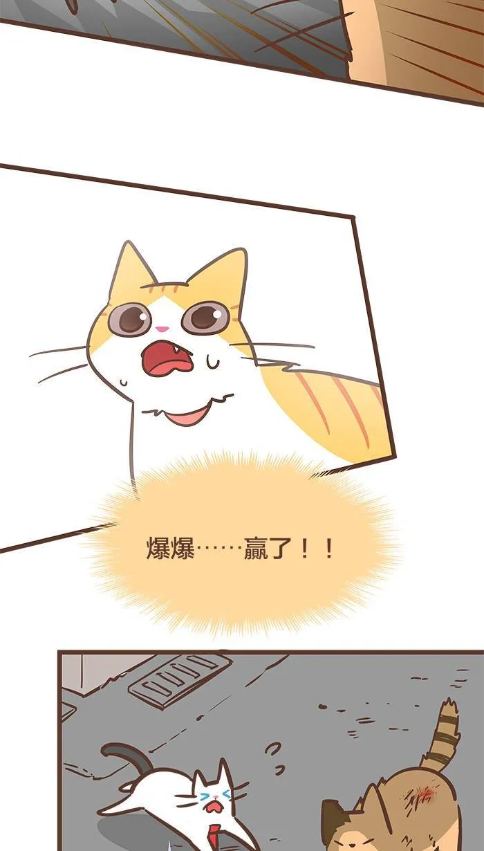 #77 背水一战、奋力一击！ 第10页