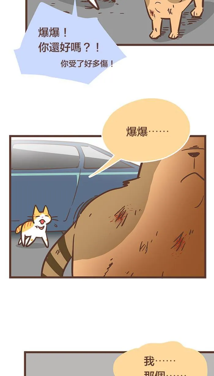 #77 背水一战、奋力一击！ 第11页