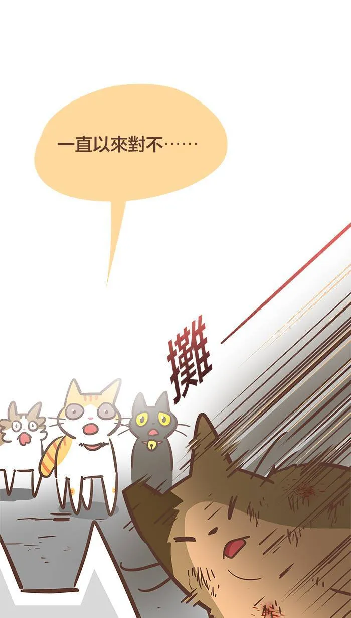 #77 背水一战、奋力一击！ 第13页