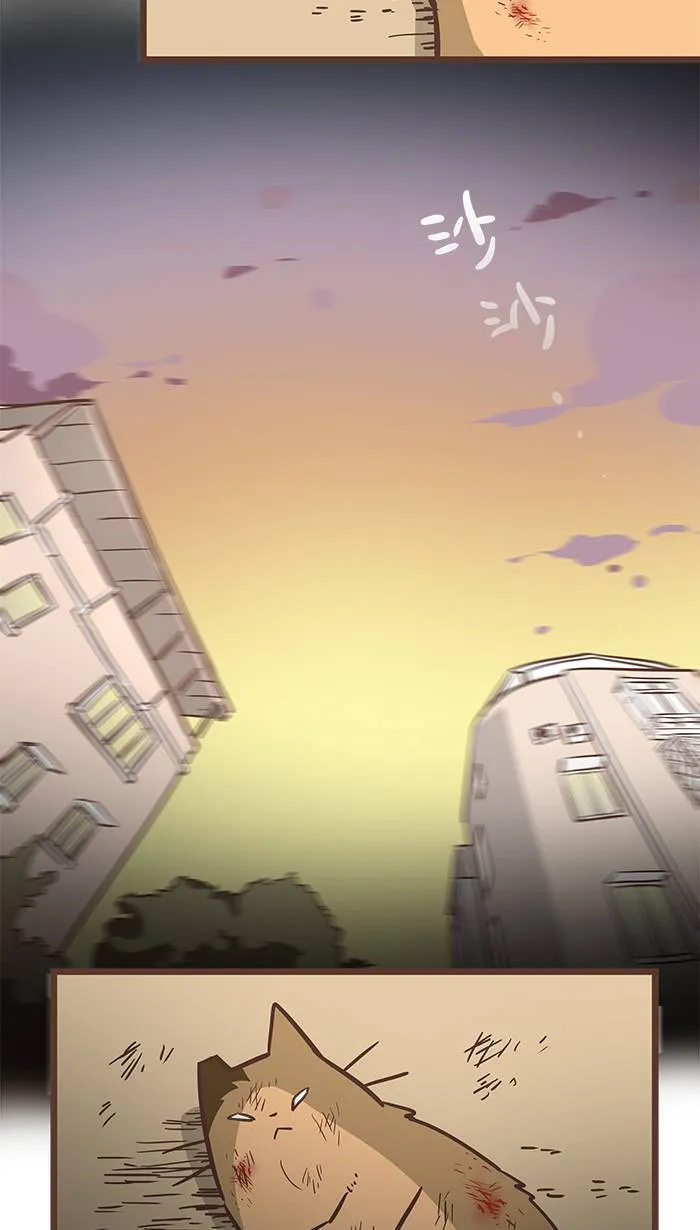 #78 闭上眼，就会看见你最想念的那个人。 第8页