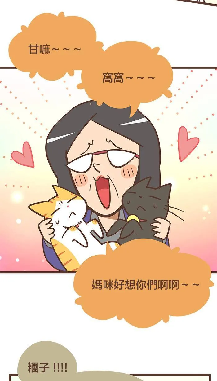 #81 有时来不及道歉，只能先道别。 第3页