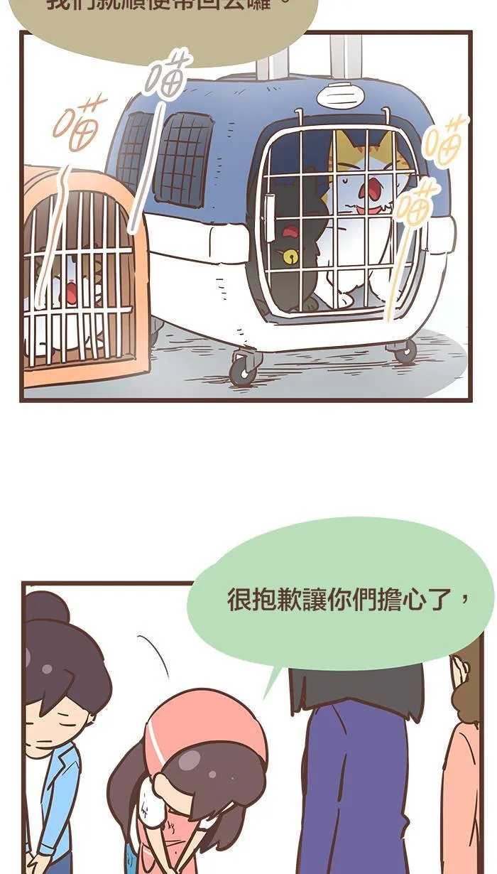 #81 有时来不及道歉，只能先道别。 第11页