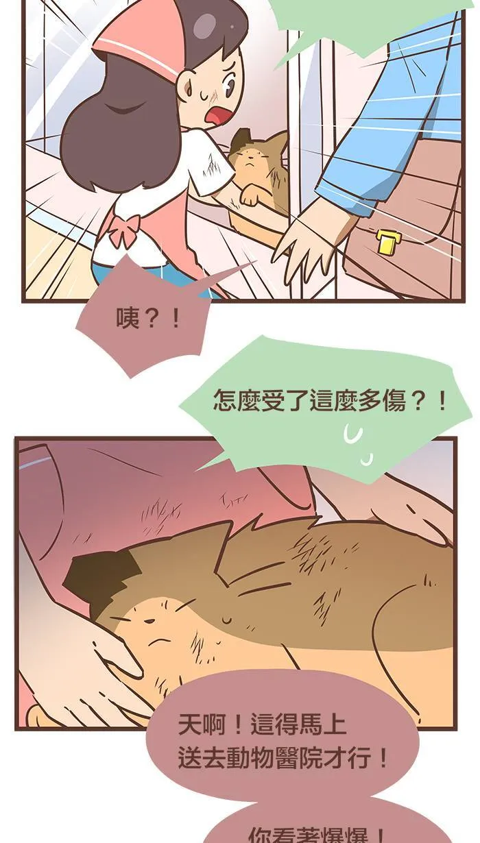 #83 好好的休息吧，一切都没事了。 第3页