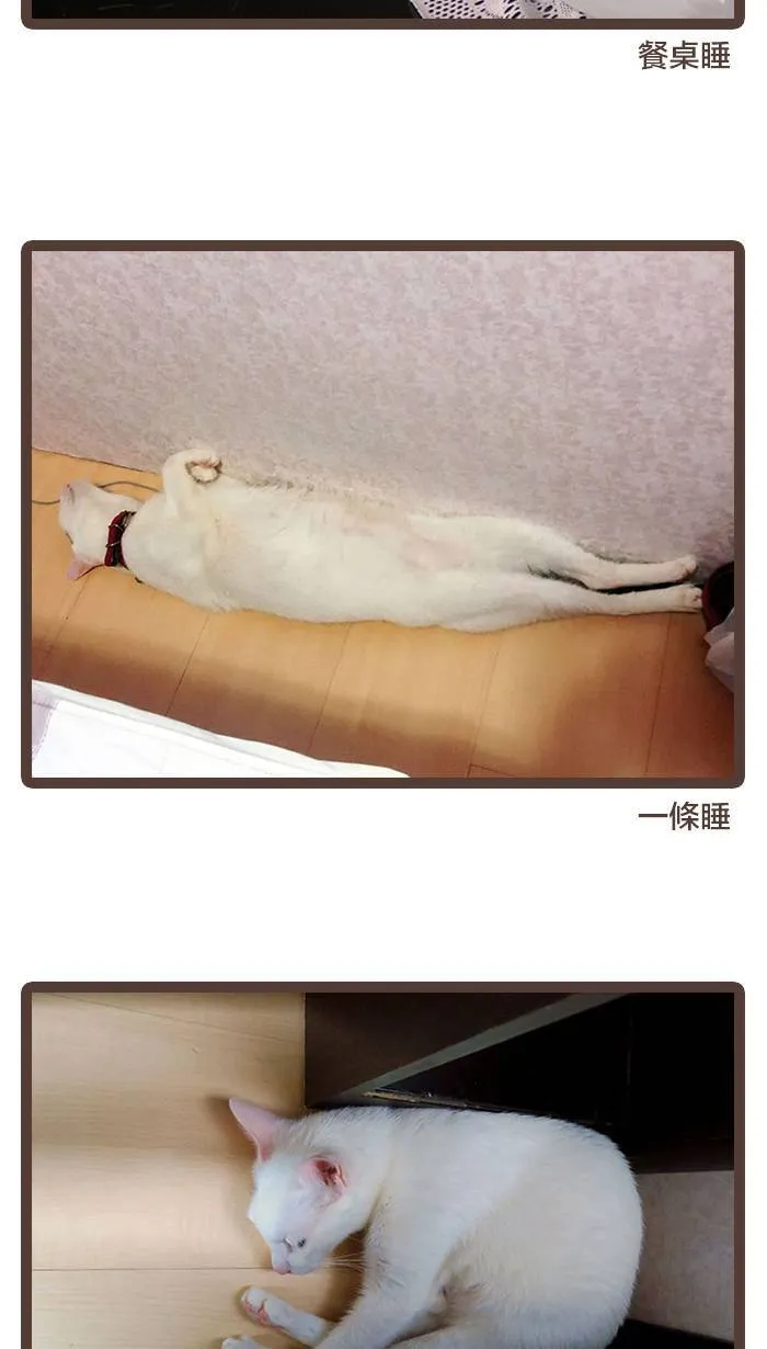 #85 休刊，让人受尽委屈⋯⋯ 第8页