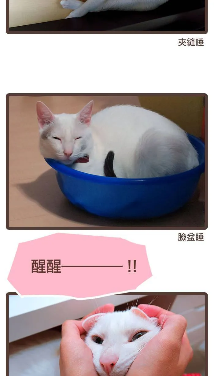 #85 休刊，让人受尽委屈⋯⋯ 第9页