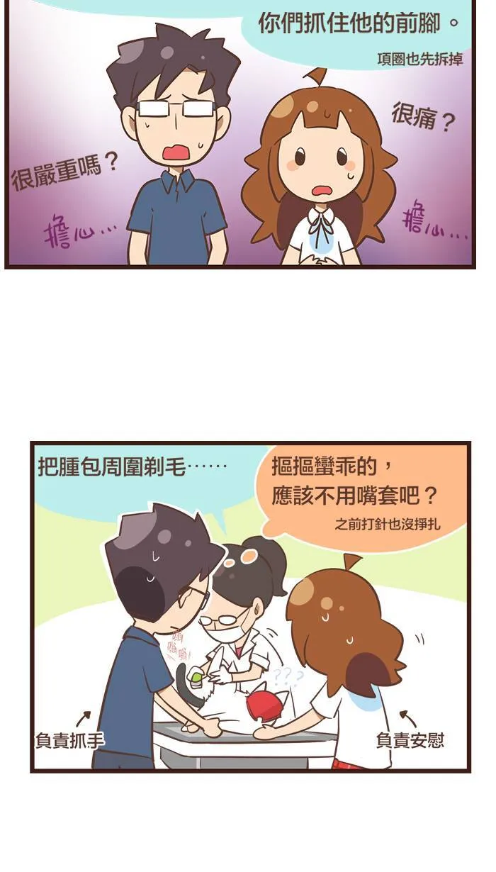 #87 屁屁如果健康，人生就是彩色的！ 第6页