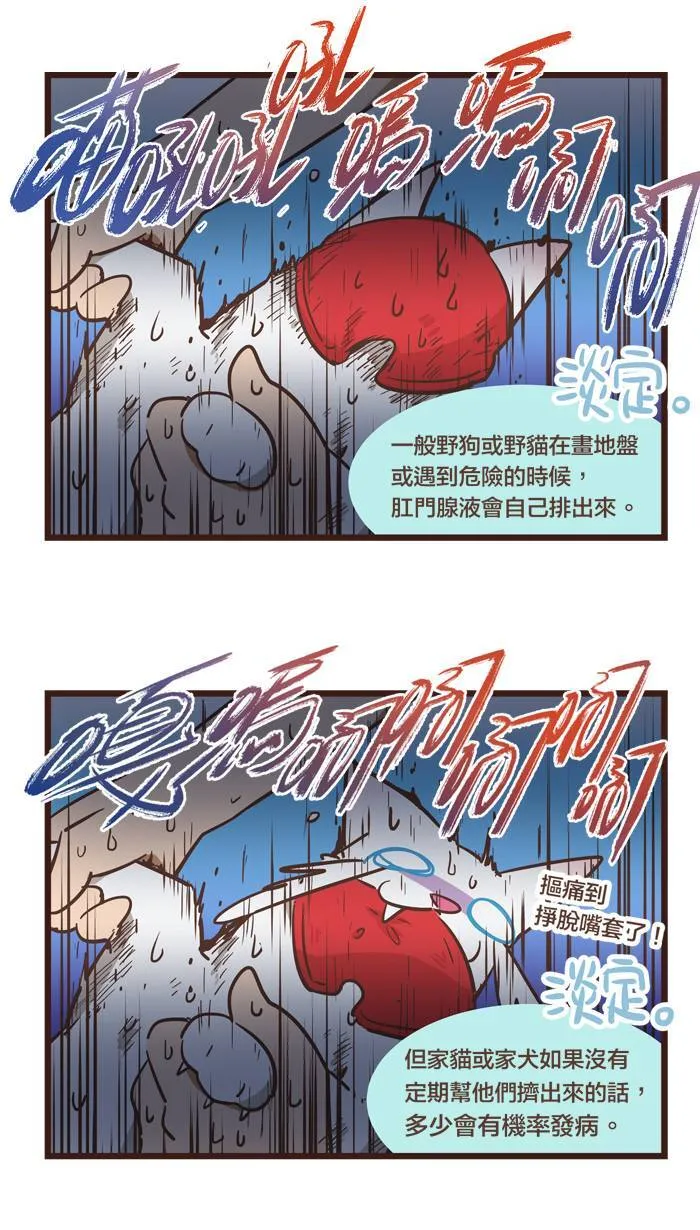 #87 屁屁如果健康，人生就是彩色的！ 第9页
