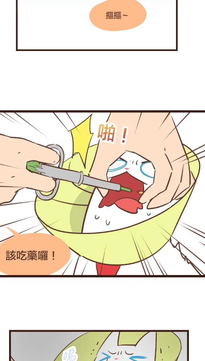 #89 猫猫心里苦，但猫猫不喵。 第5页
