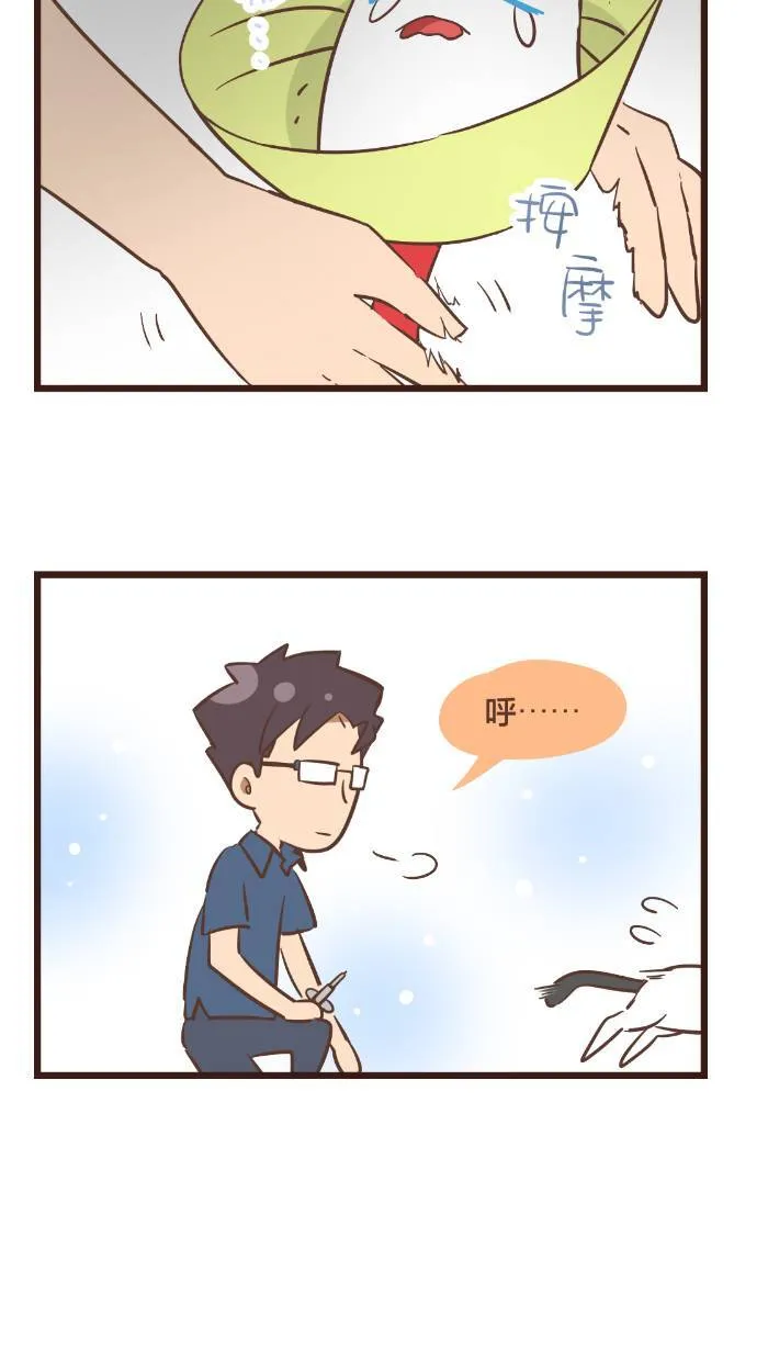 #89 猫猫心里苦，但猫猫不喵。 第6页