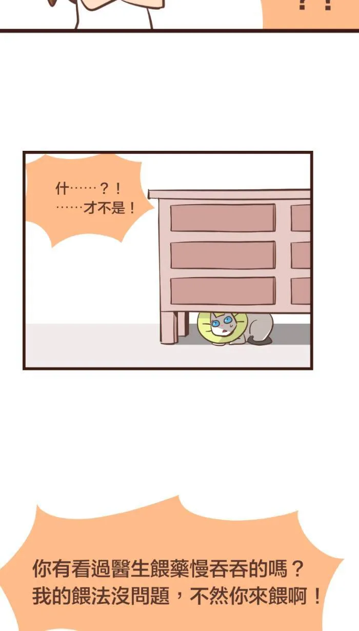 #89 猫猫心里苦，但猫猫不喵。 第9页