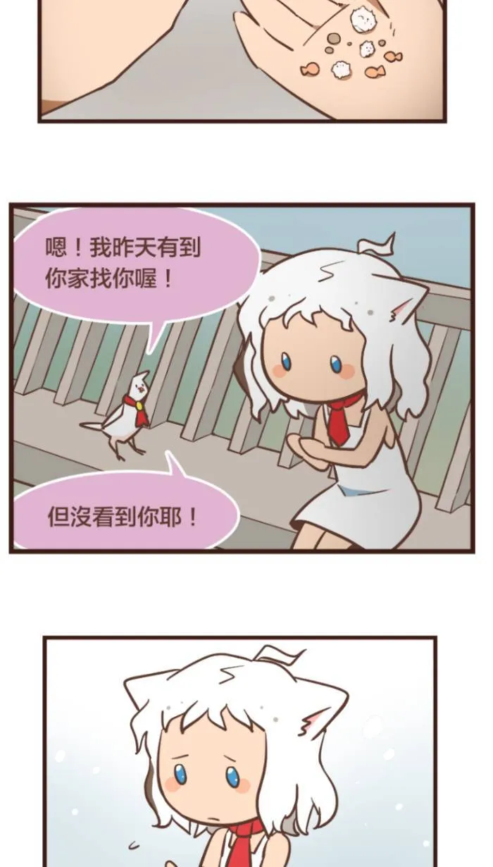 #99 让鸽来为你解决所有的烦恼吧！ 第5页