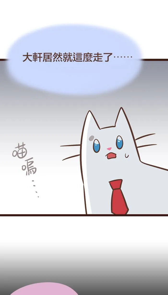 #107 无声的雨水，浸湿了我的猫毛。 第4页