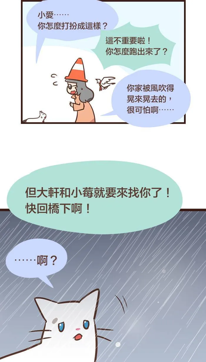 #107 无声的雨水，浸湿了我的猫毛。 第9页