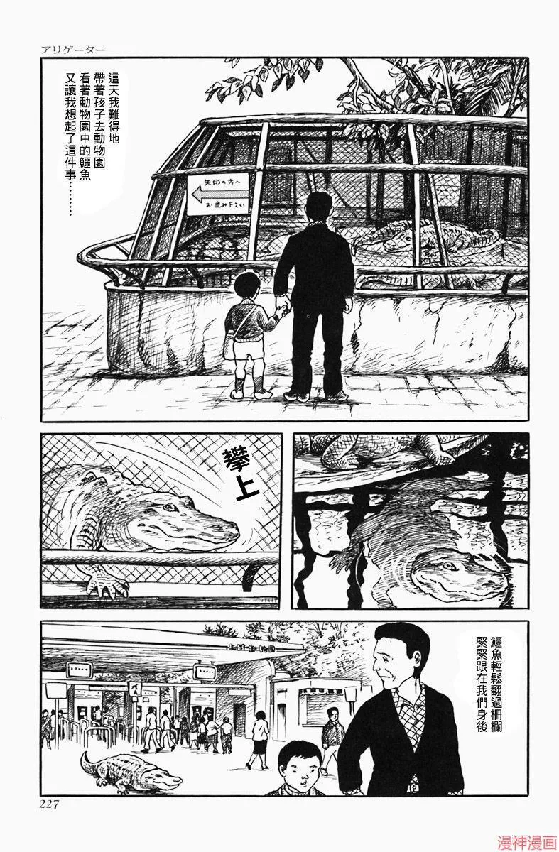 短吻鳄 第4页