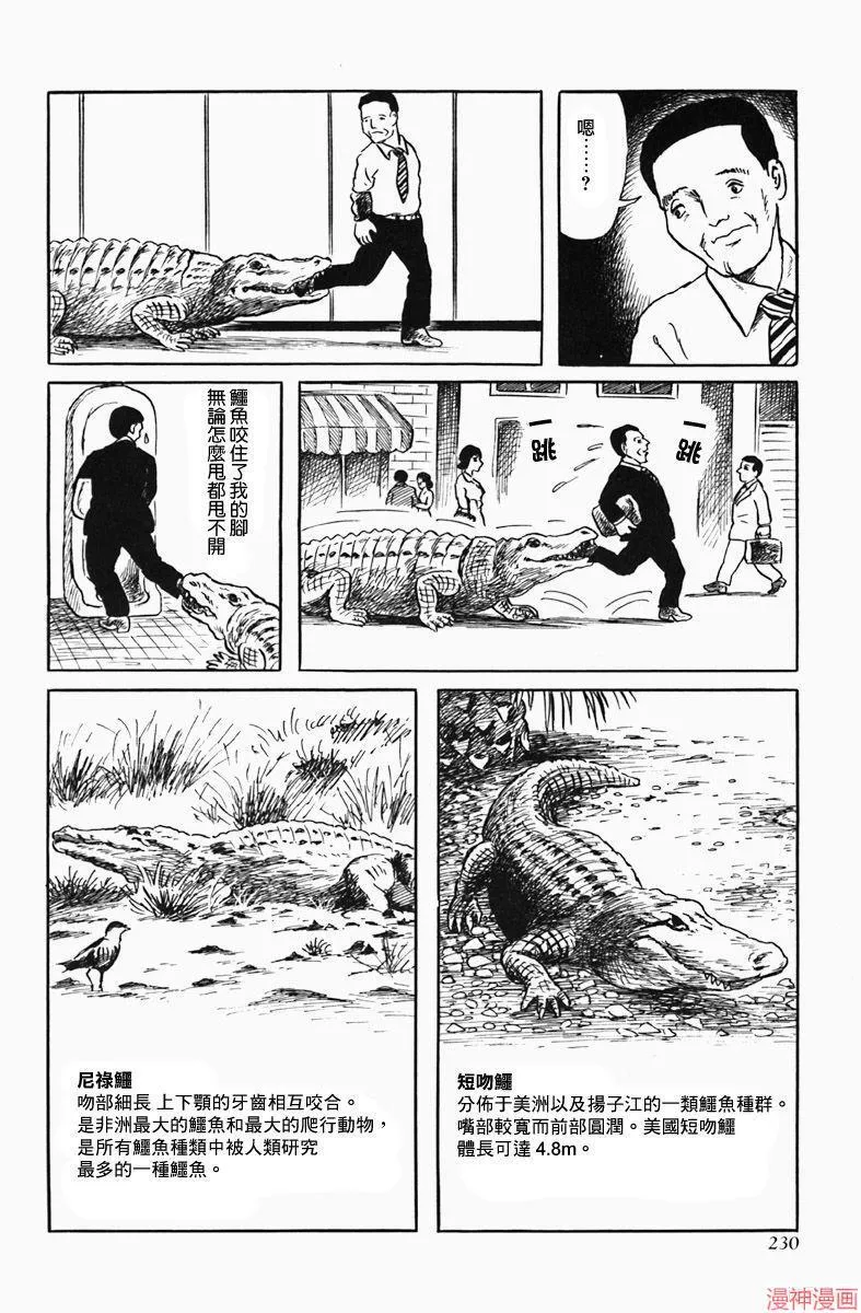 短吻鳄 第7页