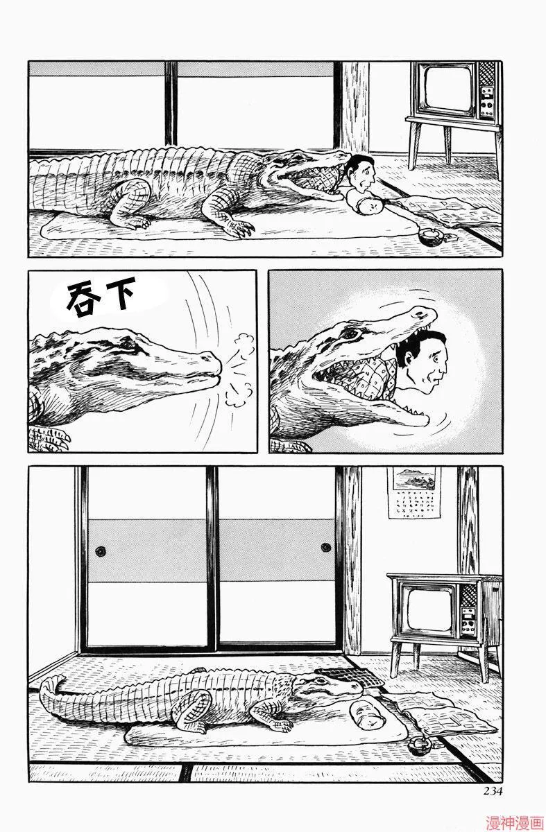 短吻鳄 第11页
