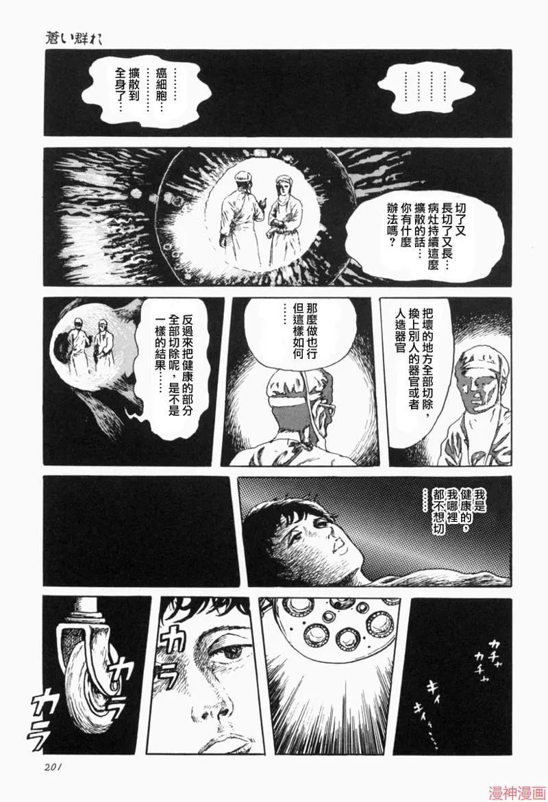 苍白群像 第23页