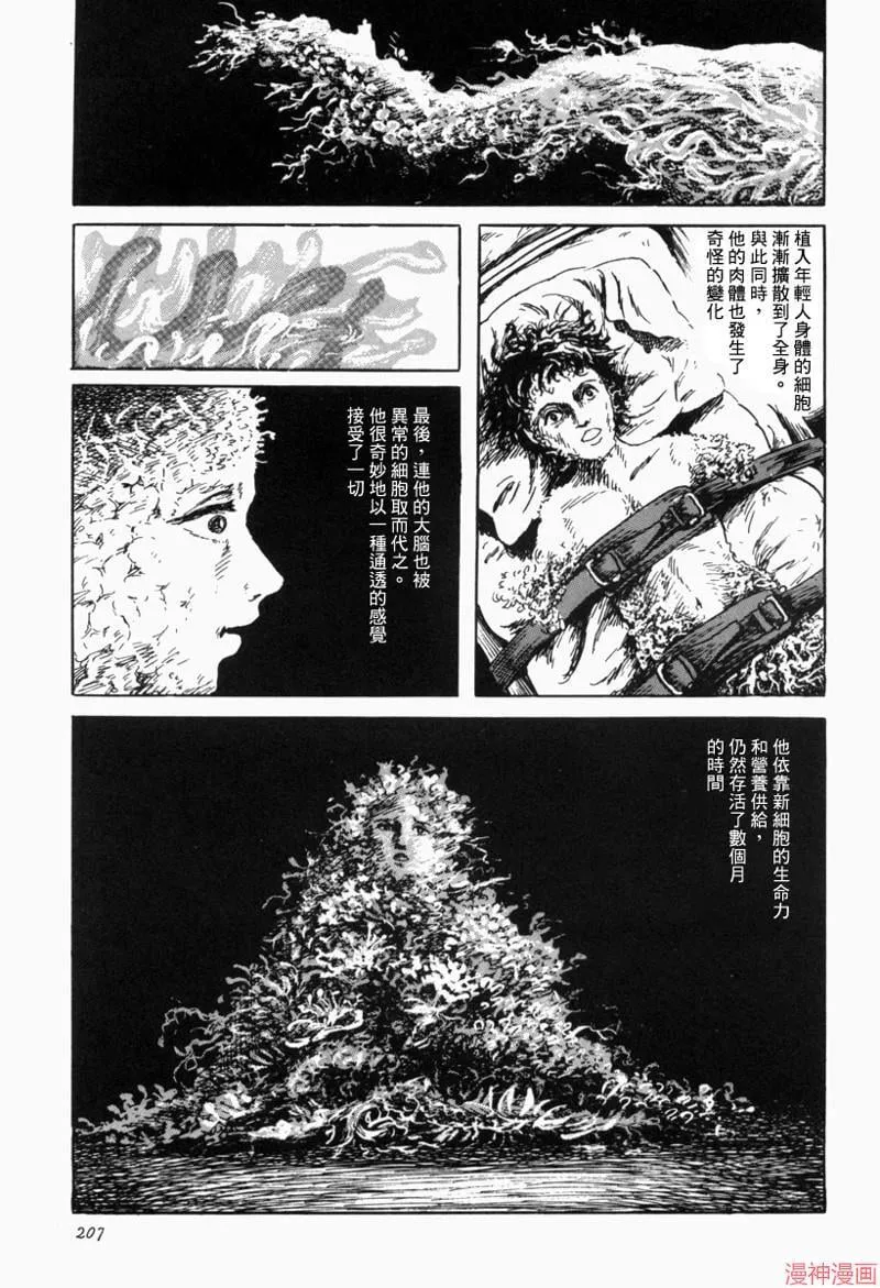 苍白群像 第29页