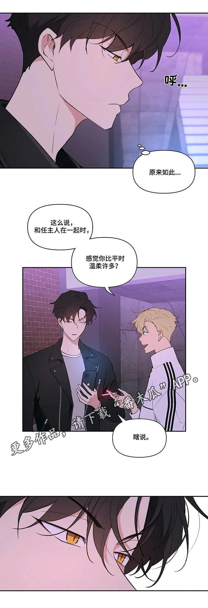 第21章：拍素材 第5页