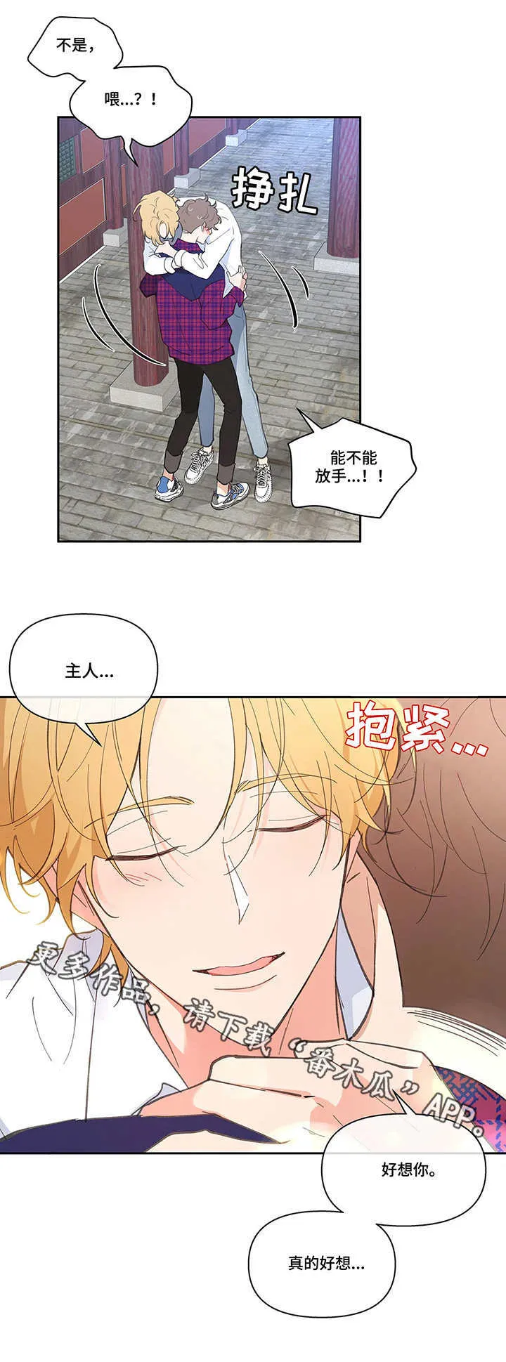 第22章：老外 第8页