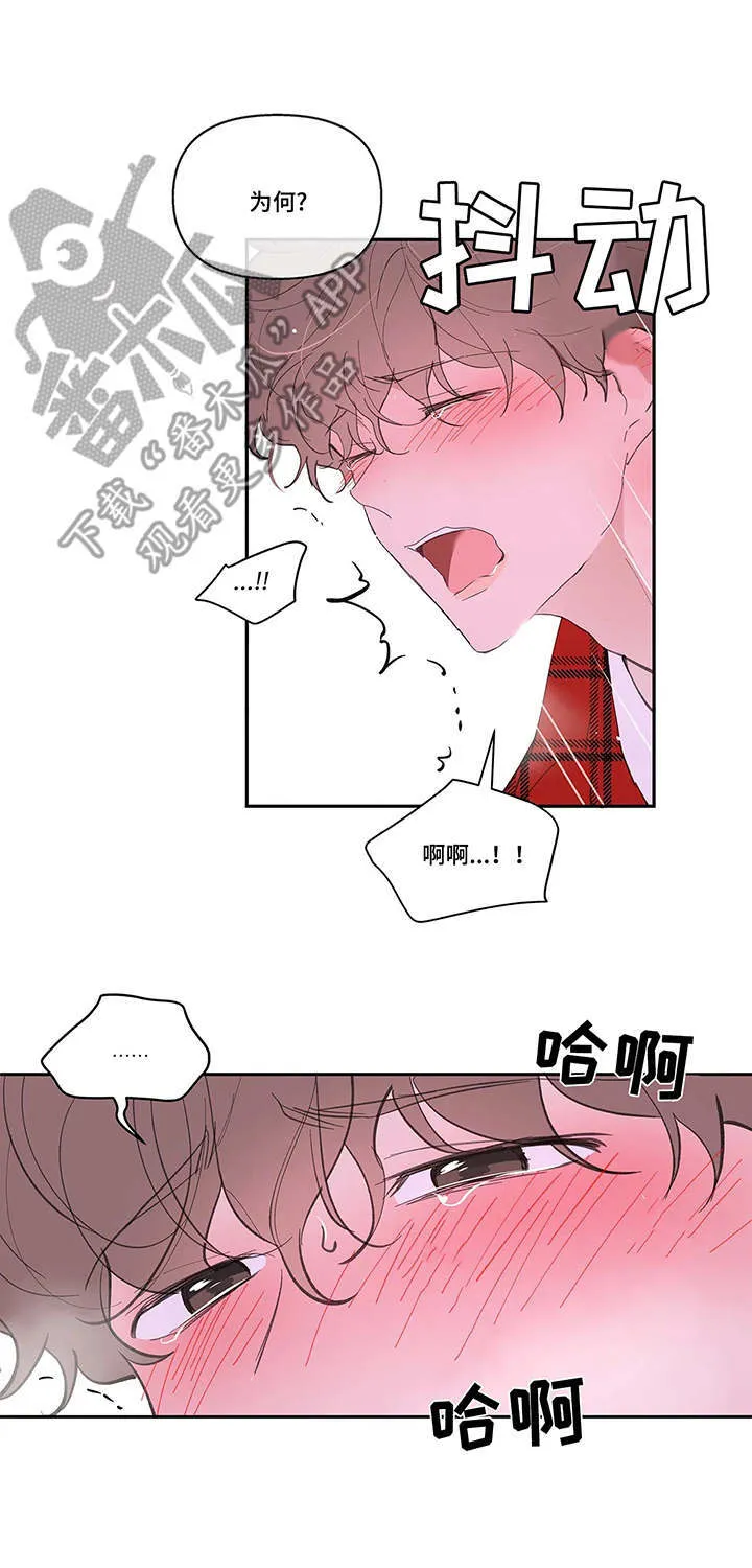 第38章：看法 第6页