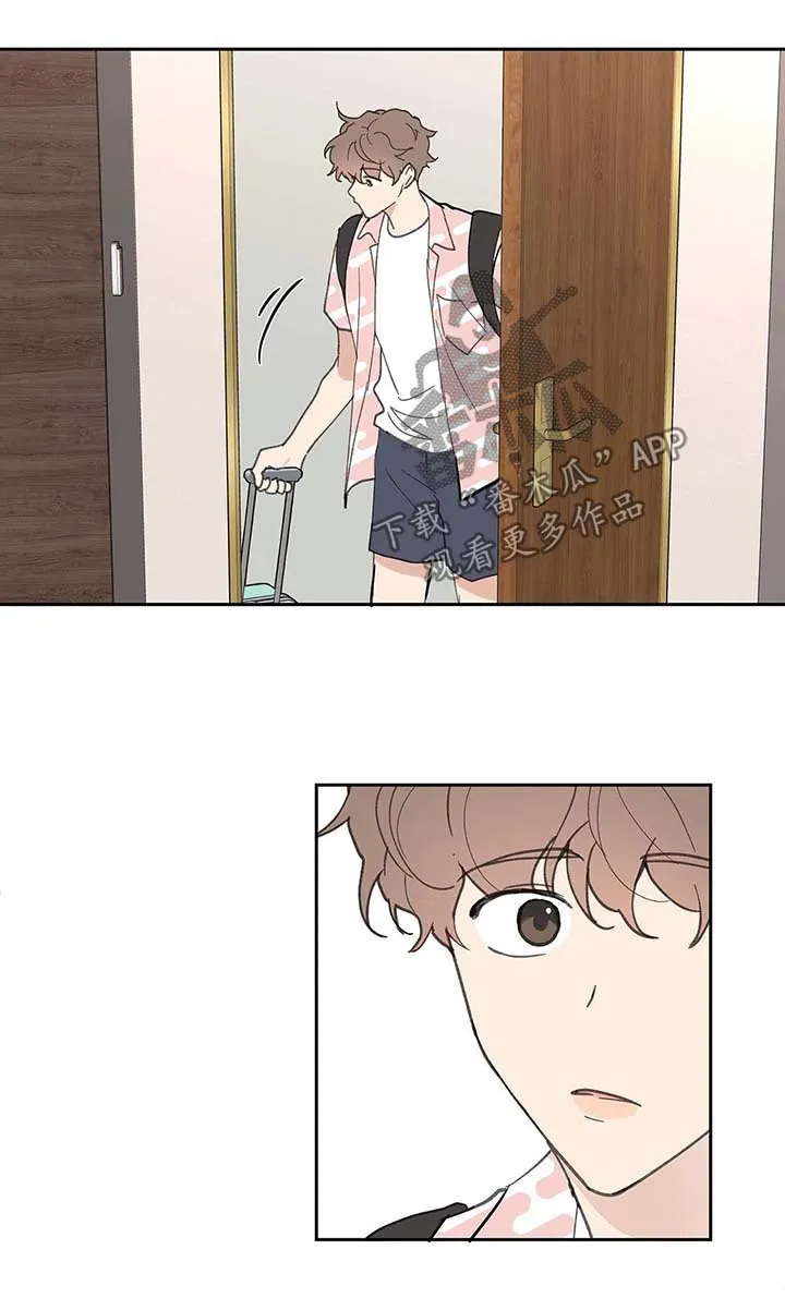 第46章：国外旅行 第15页