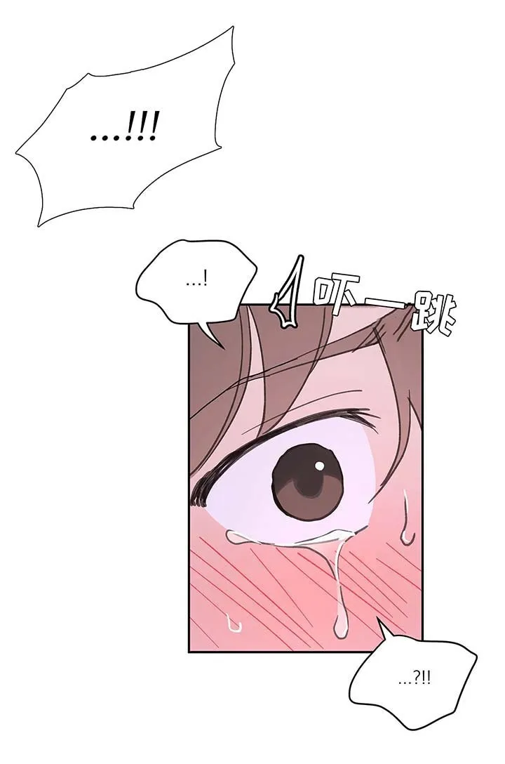 第52章：还没结束 第4页