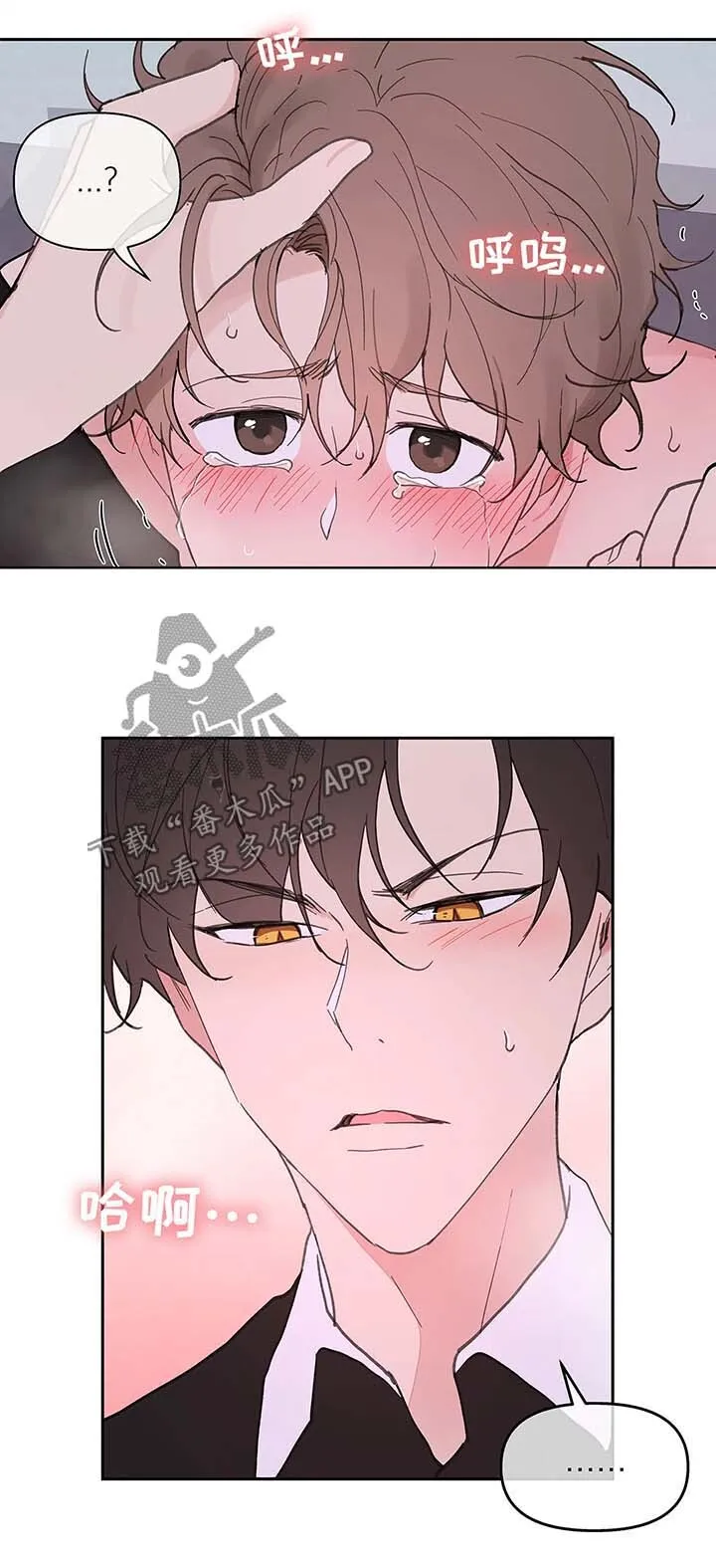 第52章：还没结束 第6页