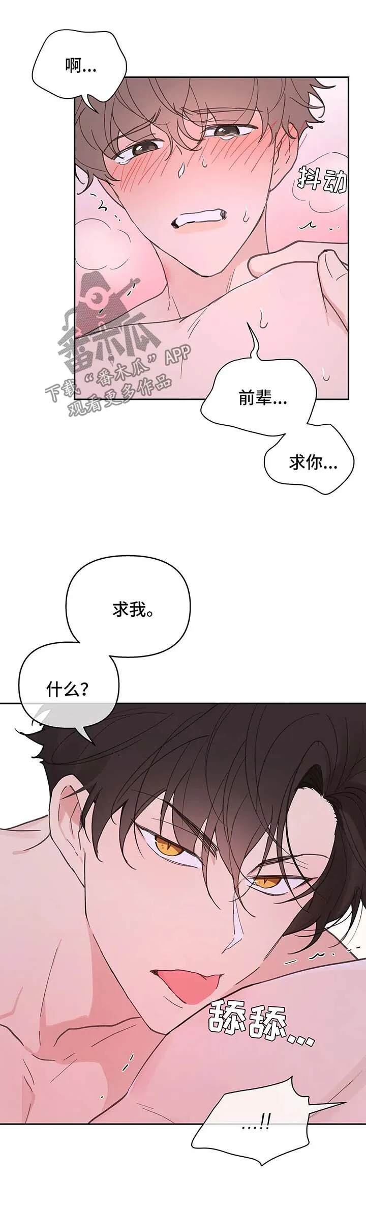 第53章：昏迷 第3页