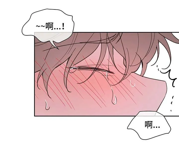 第53章：昏迷 第14页