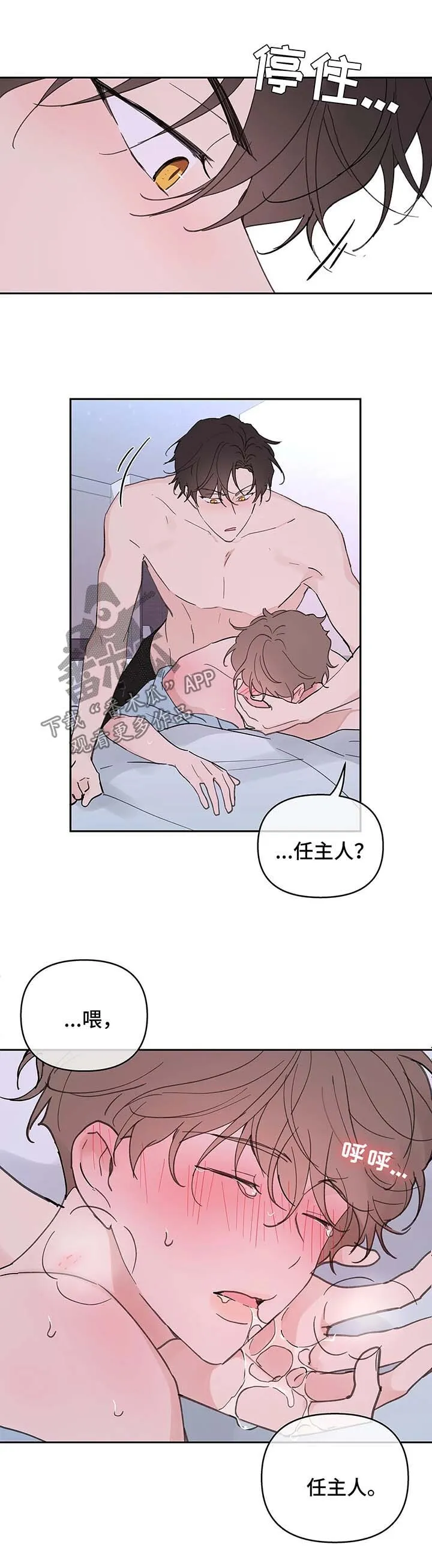 第53章：昏迷 第27页