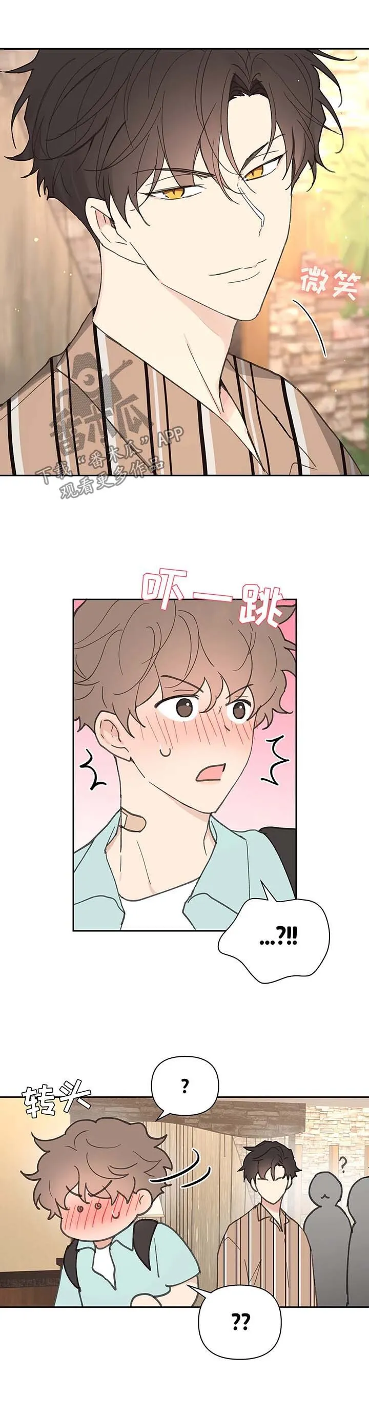 第54章：清醒 第11页