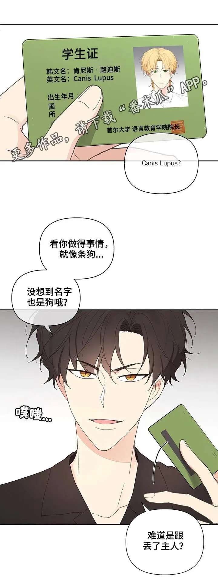 第59章：被骗了 第1页