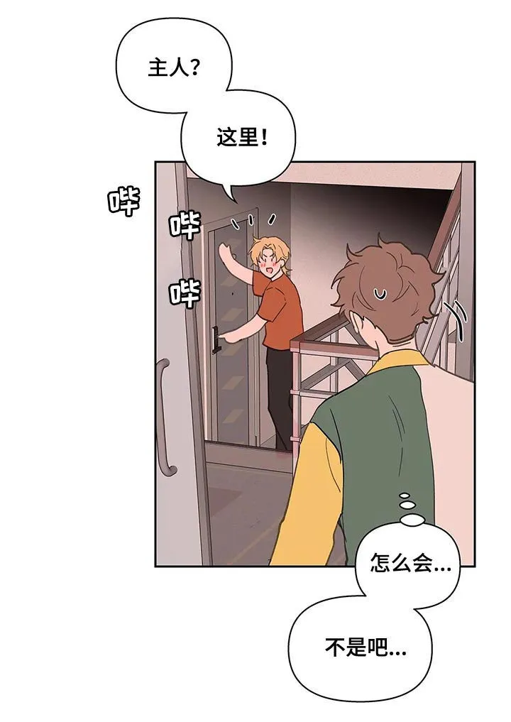 第59章：被骗了 第13页