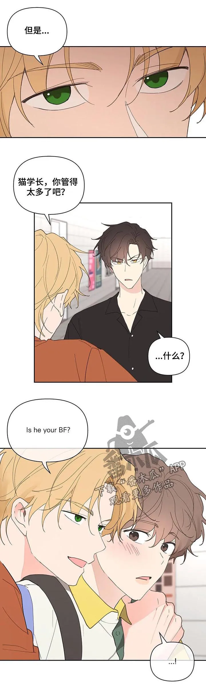 第60章：同居 第11页