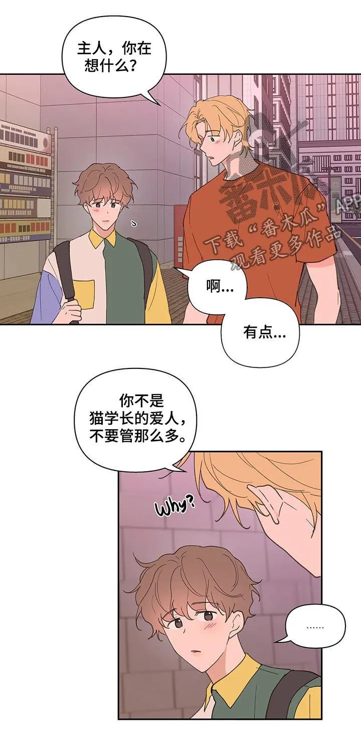 第61章：我骗了你 第3页