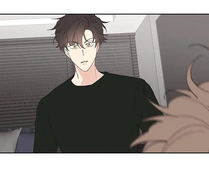第63章：会很好玩 第9页