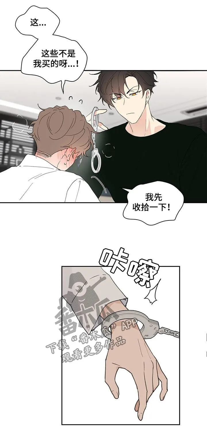 第63章：会很好玩 第13页