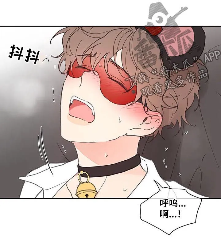 第64章：体验 第14页