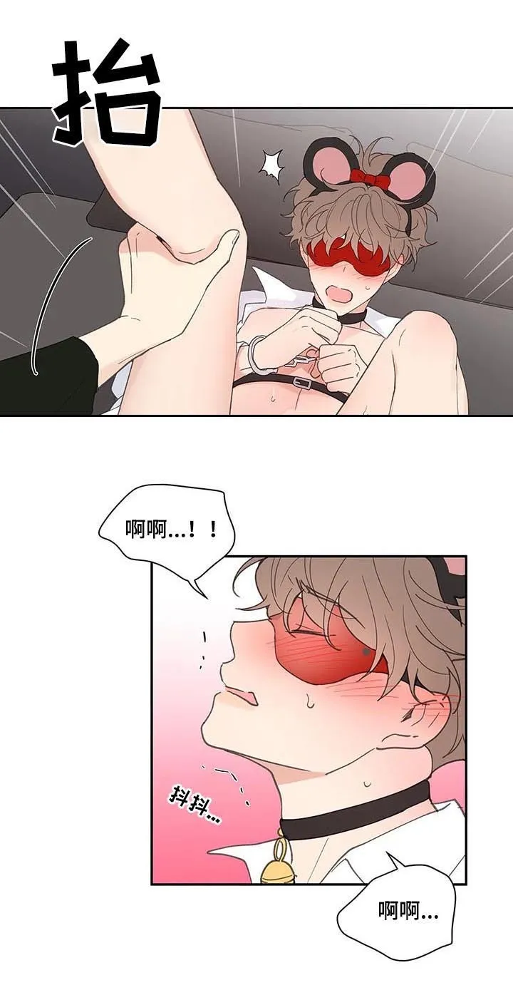 第64章：体验 第17页