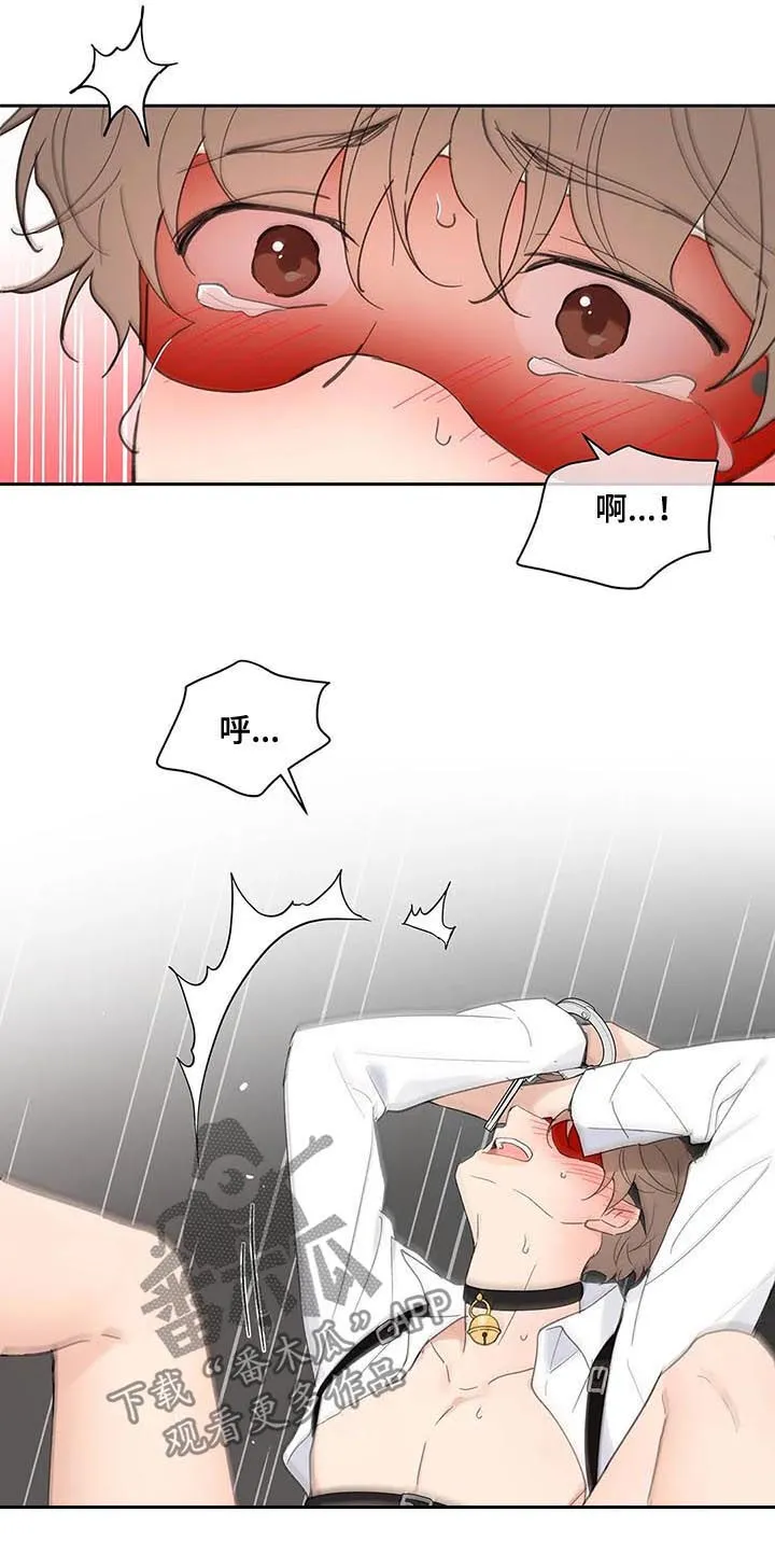 第65章：你需要的 第5页