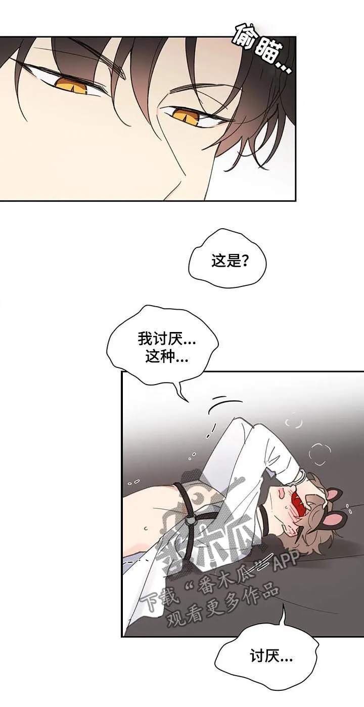 第65章：你需要的 第12页