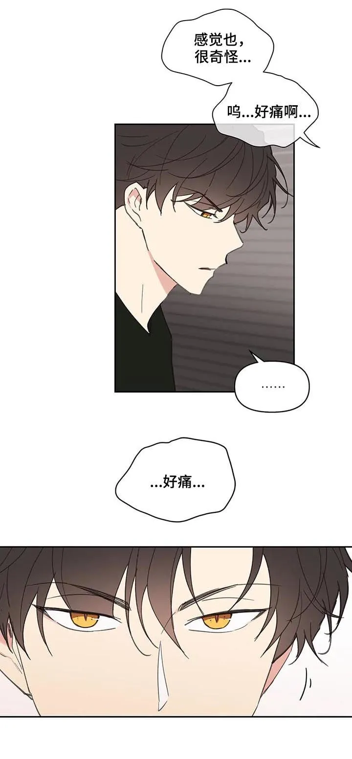 第65章：你需要的 第13页