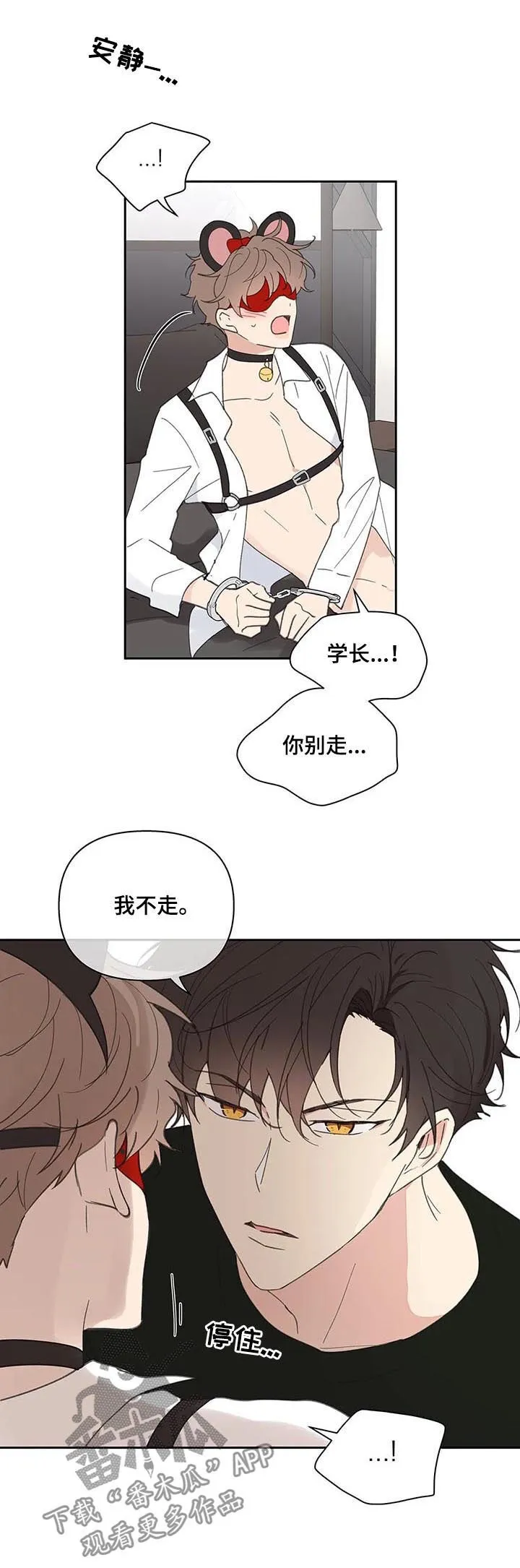 第65章：你需要的 第17页