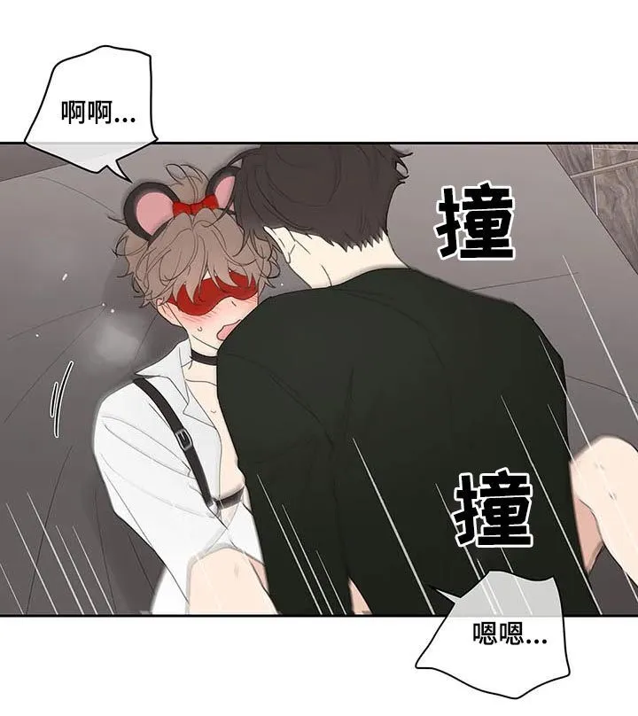 第66章：期待一次 第6页