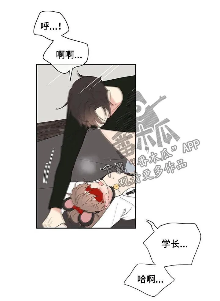 第66章：期待一次 第12页