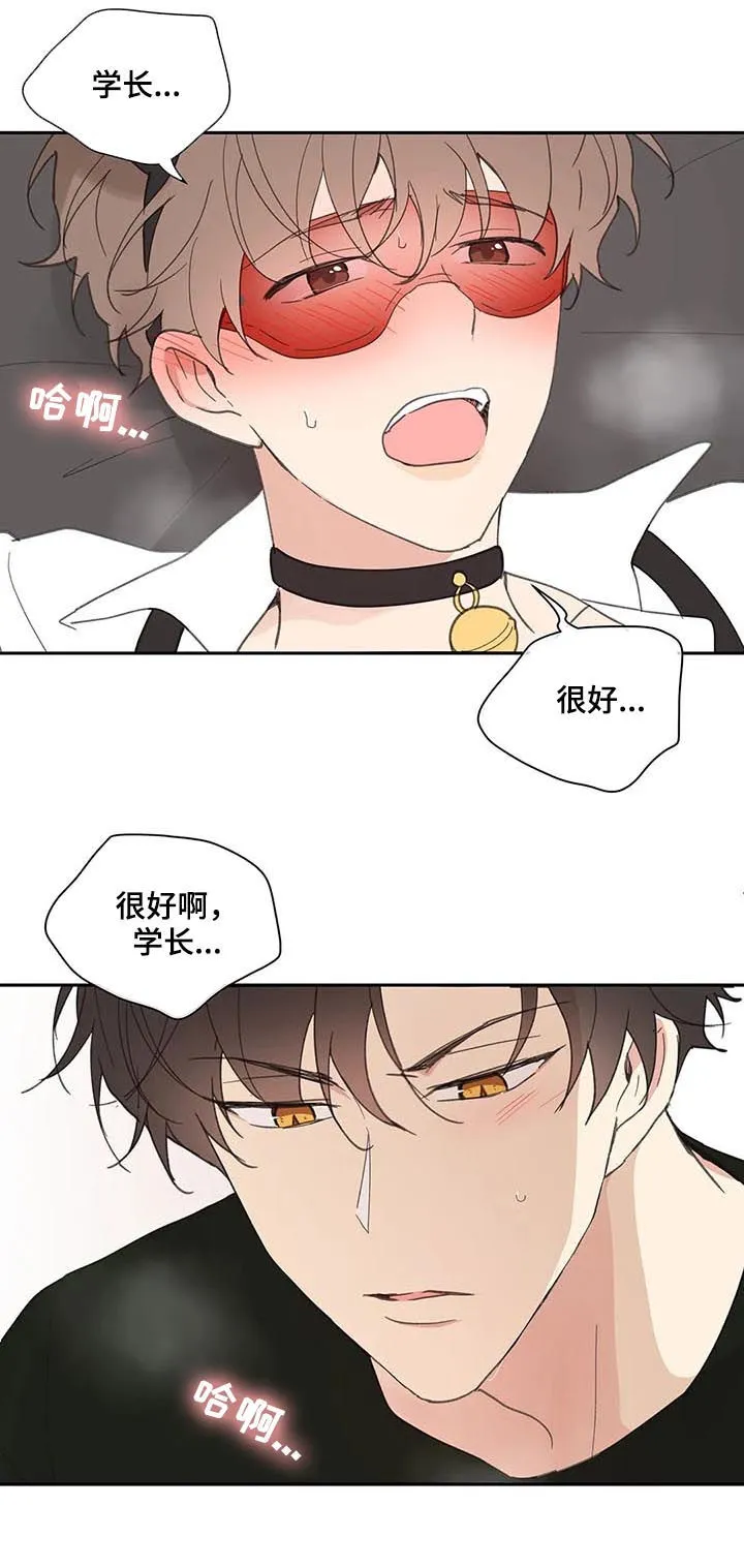 第66章：期待一次 第13页