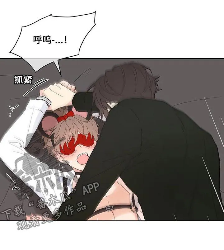 第66章：期待一次 第14页